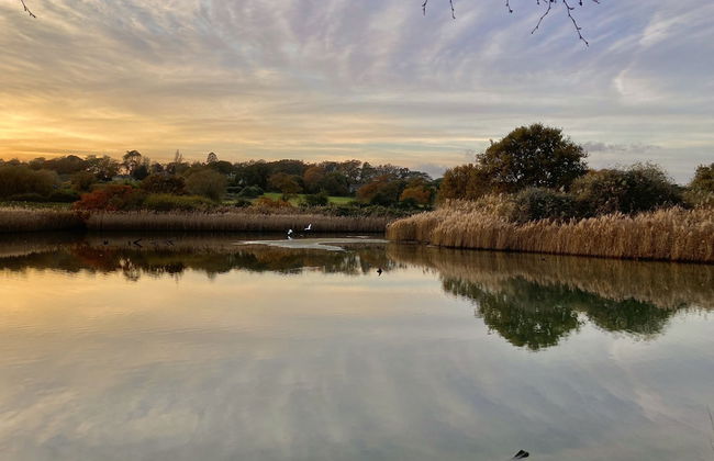 The Timbers in Seaview - Foto 39