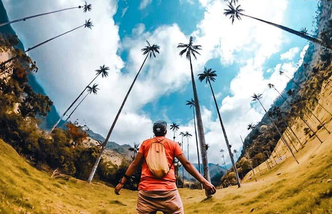 Escursione al santuario di palme da cera di Toche - Foto 6