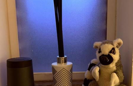 Bétia Cocoon SPA et Sérénité, proche Canal du Midi - Foto 12