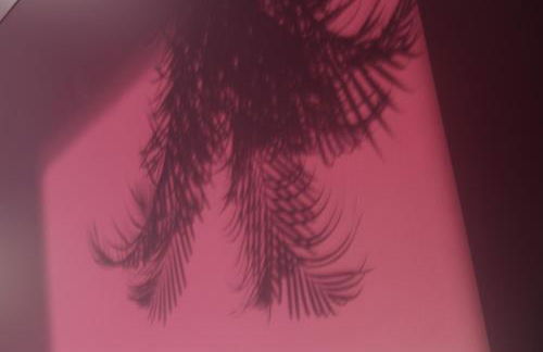 La Maison Vésubie - Foto 16