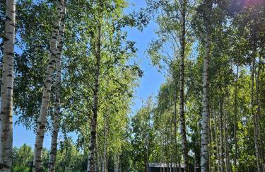 Przystanek Mazury.Makosieje - Foto 64