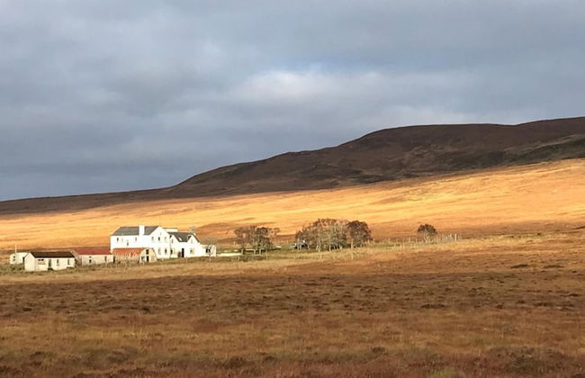 Garvault House - Photo 24