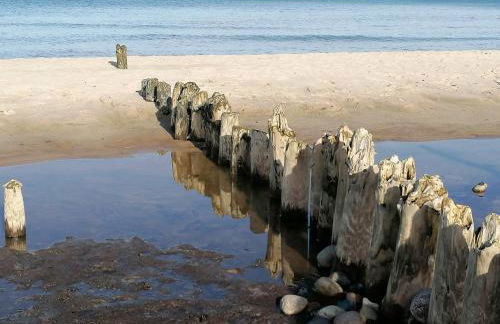 Reetdachhaus am Haff - Foto 41