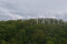 Kod Slaveka - Foto 8