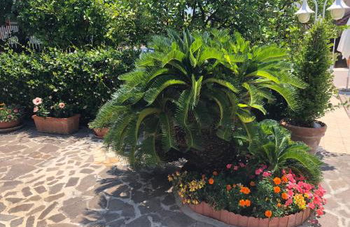 Boccy Brothers - Foto 68