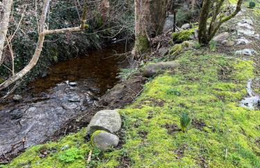 River house - Foto 52