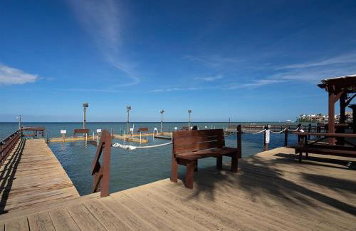 Amazing Bay View, Boat docks, and easy walk to the Beach - Photo 46