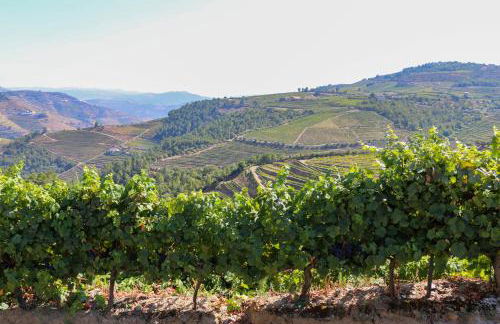 Quinta Teoria - Teoria Guest House - Foto 11