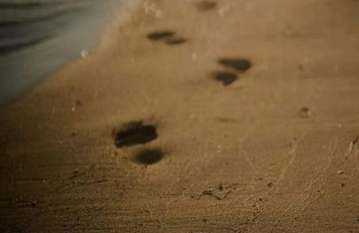 Apartman Endy - Photo 50