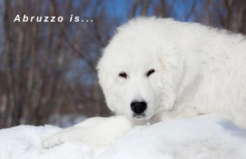 Characteristic restored farmhouse with 360 degree views - Photo 53