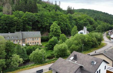 Waldoase im Nationalpark Eifel für 4 Personen und max 2 Hunde - Foto 7