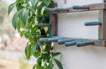 La Umbría de la Ribera - Foto 15