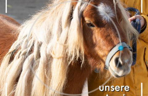 Obst- und Weingut Ingenhof - Foto 31