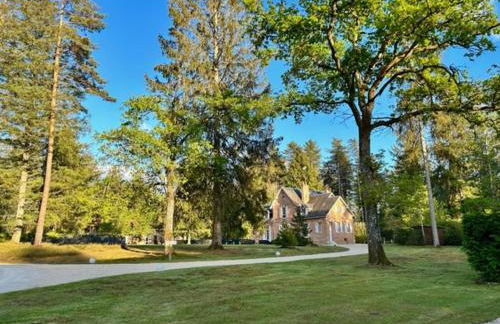 DOMAINE DE MALVAUX - Gîte classé 5 étoiles - 15 personnes - Sologne - Nouan le Fuzelier - Ambassadeur Sologne - Photo 25