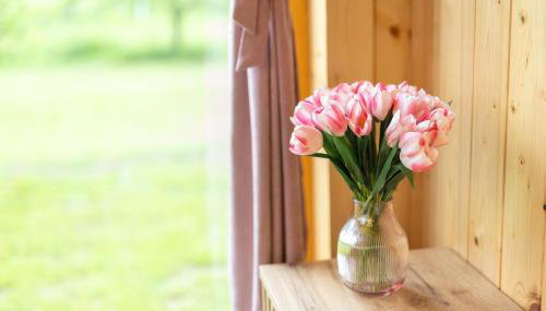 Dream house Mirjam - Foto 3