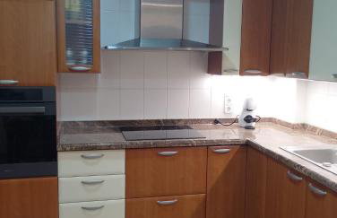 Apartamento Aura céntrico junto a feria - Foto 4