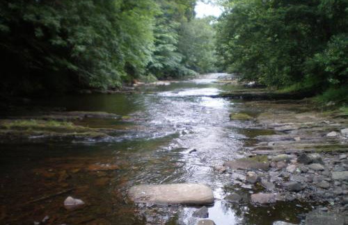 Farmhouse Cottage - Foto 11