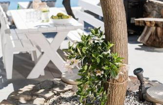 Villa Olvía - Photo 69