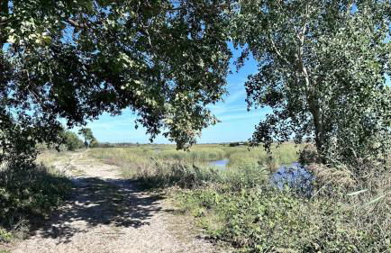 Villa Mimosa - Vue Exceptionnelle - Photo 23