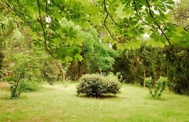 Relais La Torre - Foto 27