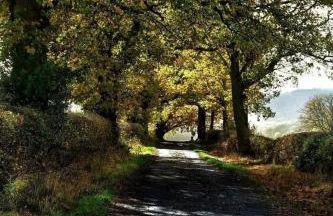 Mynd View Pods Cedar - Foto 13