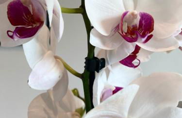 Penthouse - Zentral und Genial - Foto 48