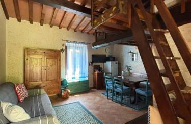 Il polpo blu - Foto 42