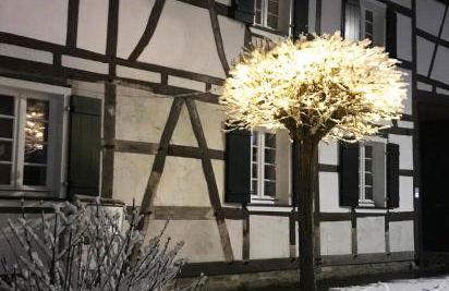 Gemütliche Fachwerkwohnung - Foto 7