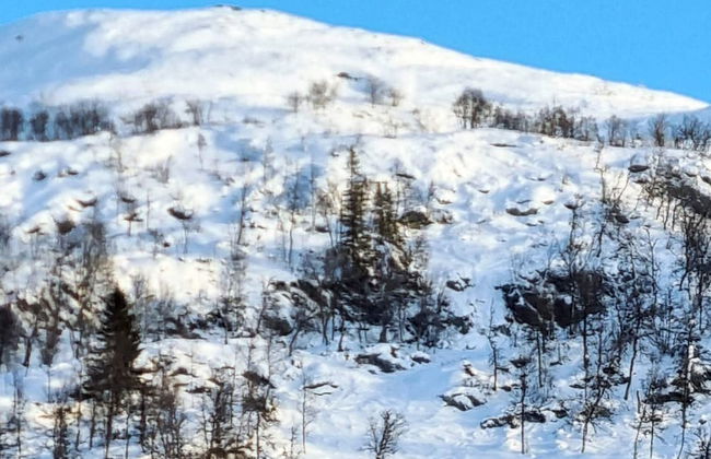 9 Person Holiday Home in Rauland - Foto 14