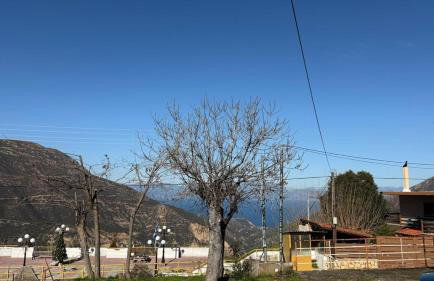 Guesthouse Charitou - Foto 45