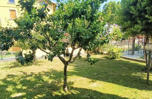 Carpegna Green House - Foto 7