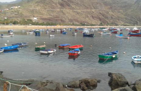 Apt El Perenquen - Foto 27