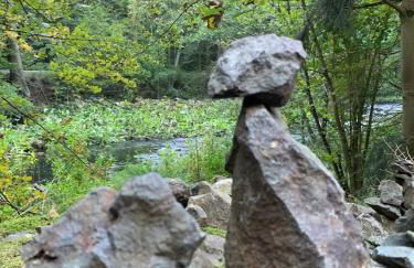 Schöne Ferienwohnung in Schauenstein-Hof im Frankenwald mit Loggia 100qm - Foto 34
