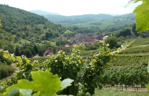 Gitzelbrunnen - Foto 6