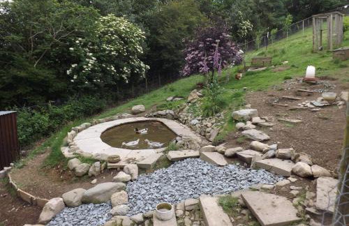 Little Burbank - Foto 12