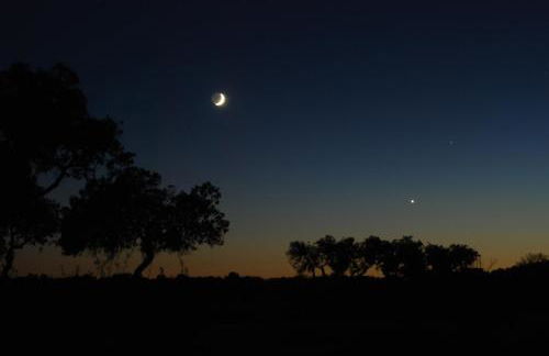 Bubulcus and Bolotas - Off Grid Nature Holiday Home - Foto 13