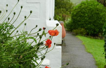 Hawthorn Cottage - Foto 41