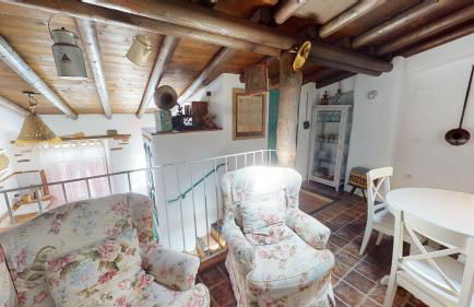 La Apañaora - Foto 4