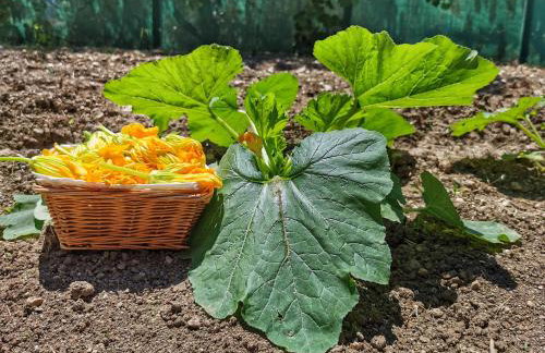 Borgo Santa Lucia - Photo 26