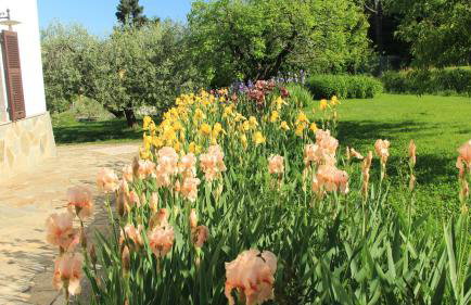 Casa vacanze Ester - Foto 64