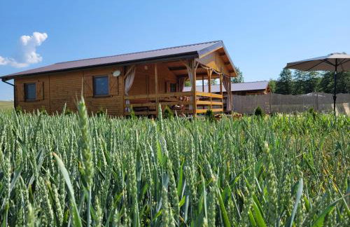 Mazurski Zakątek Skarlin - Foto 51