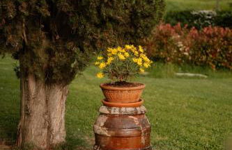 Podere la Piscina acqua calda RestArt - Foto 61