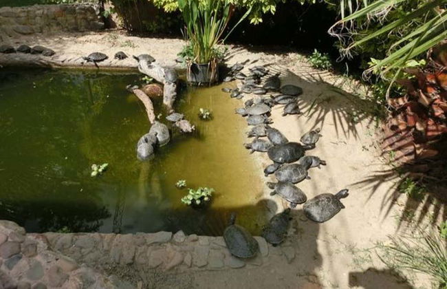 Excursión a Agroflori y Villa Albina - Foto 5