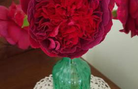 Landhaus Sinneswandel - Foto 31