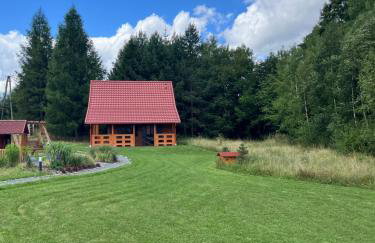 Okno na las - Foto 17