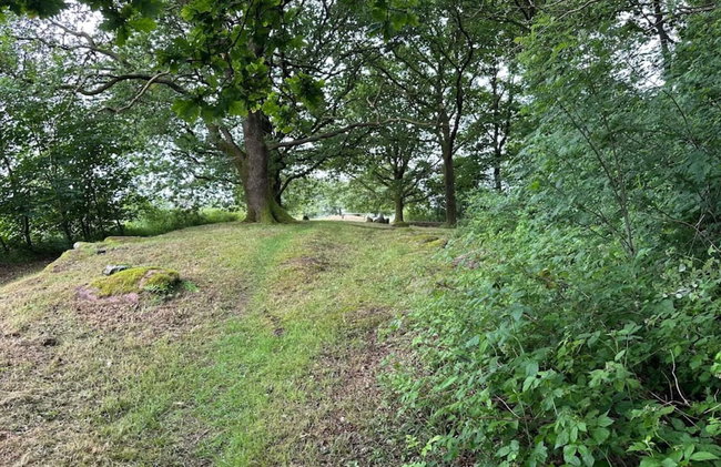 5 Star Holiday Home in Hovborg - Foto 7