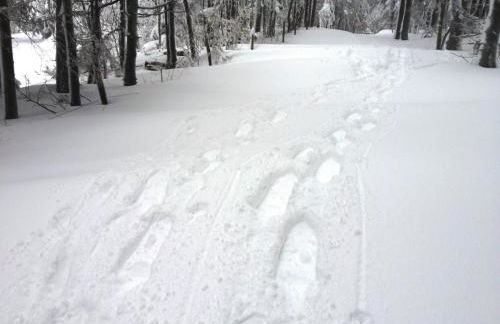 Ferienwohnung Little Home in Winterberg-Neuastenberg - Foto 42