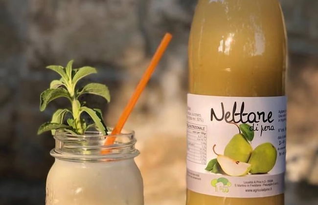 Agriturismo Il Pino - Foto 44