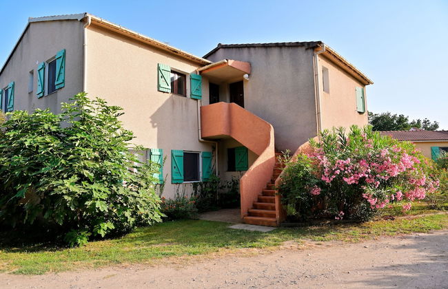 Pinea Mare - Foto 22