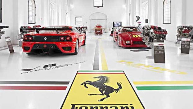 Exhibitions at the museum